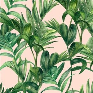 Meet your Posher, Stella